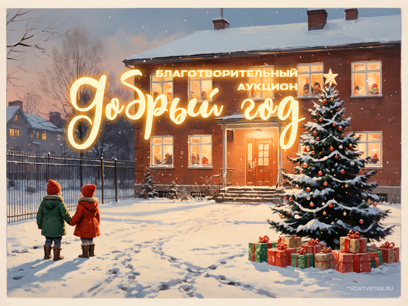 Благотворительный аукцион «Добрый год»: дарим волшебство тем, кто в нём нуждается!